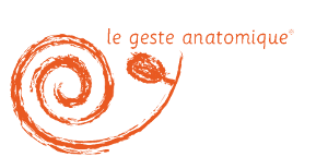 Logo geste anatomique